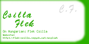 csilla flek business card